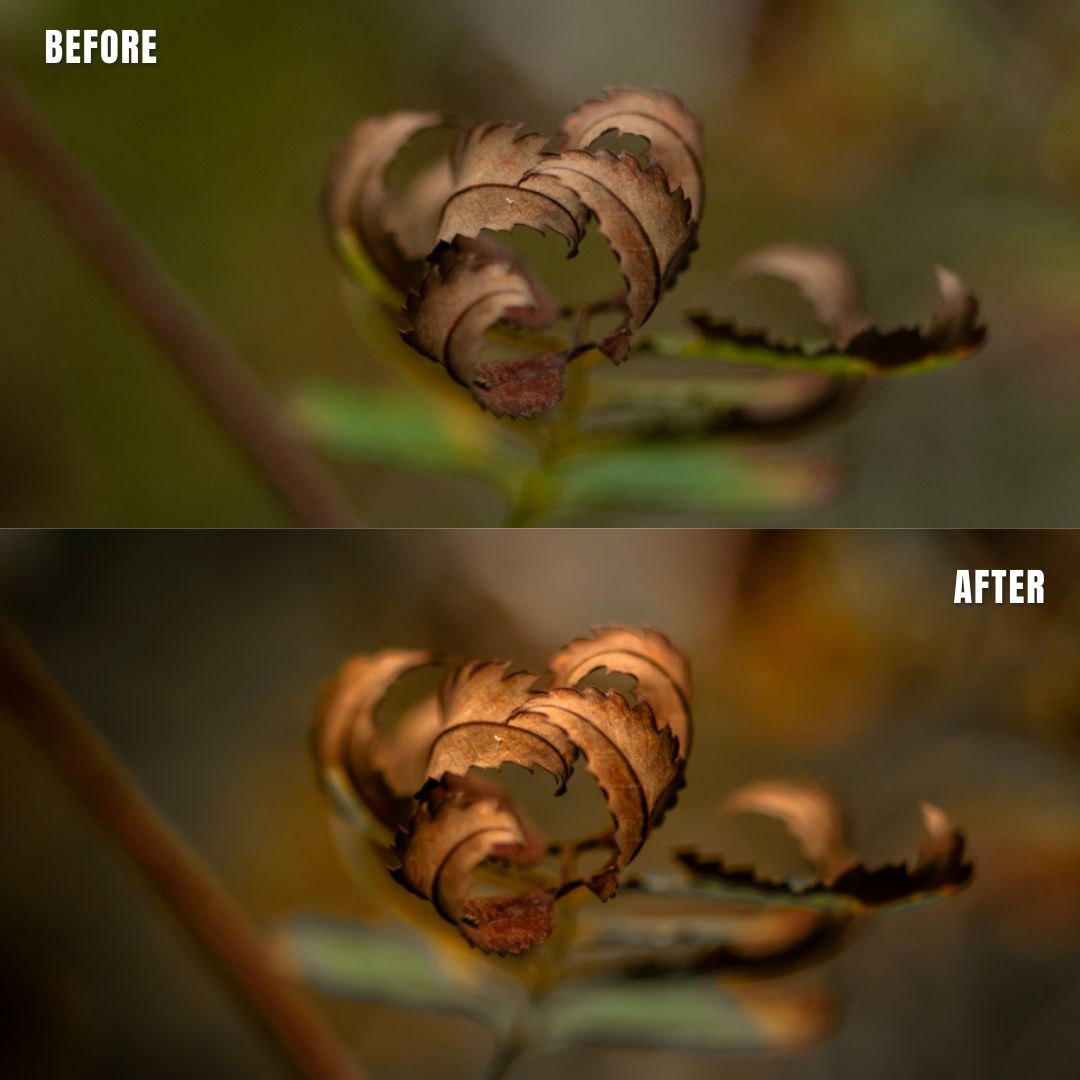 MPP - Natural Greentones with Warmth Preset Pack