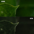 MPP - Rich Greens Preset Pack