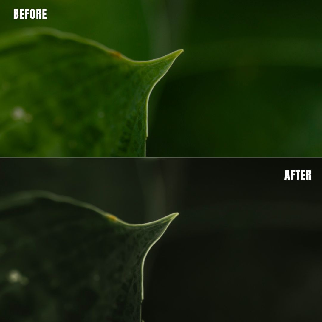 MPP - Rich Greens Preset Pack