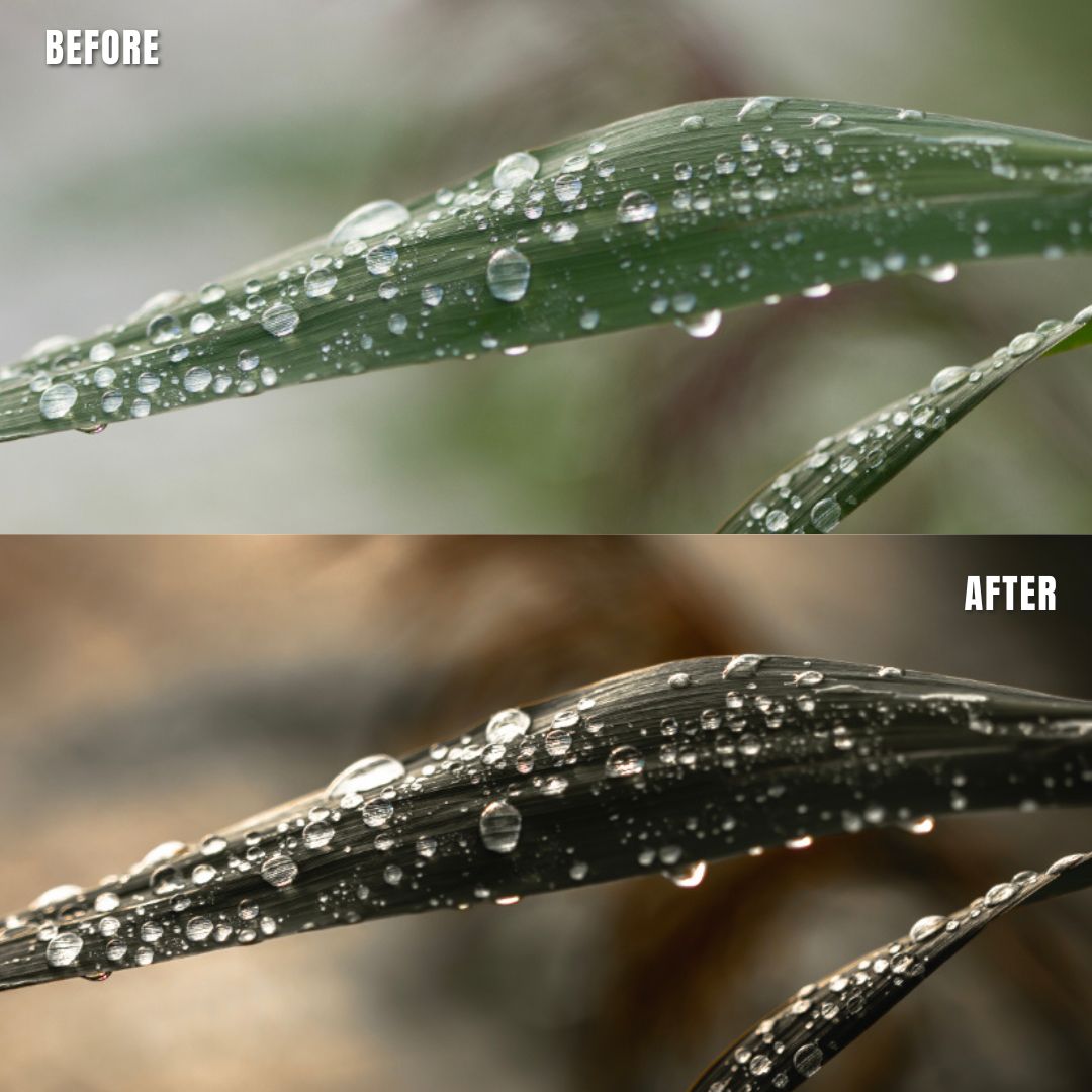 MPP - Muted Greens Preset Pack