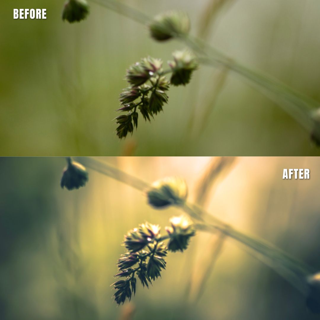 MPP - Water Color Preset Pack