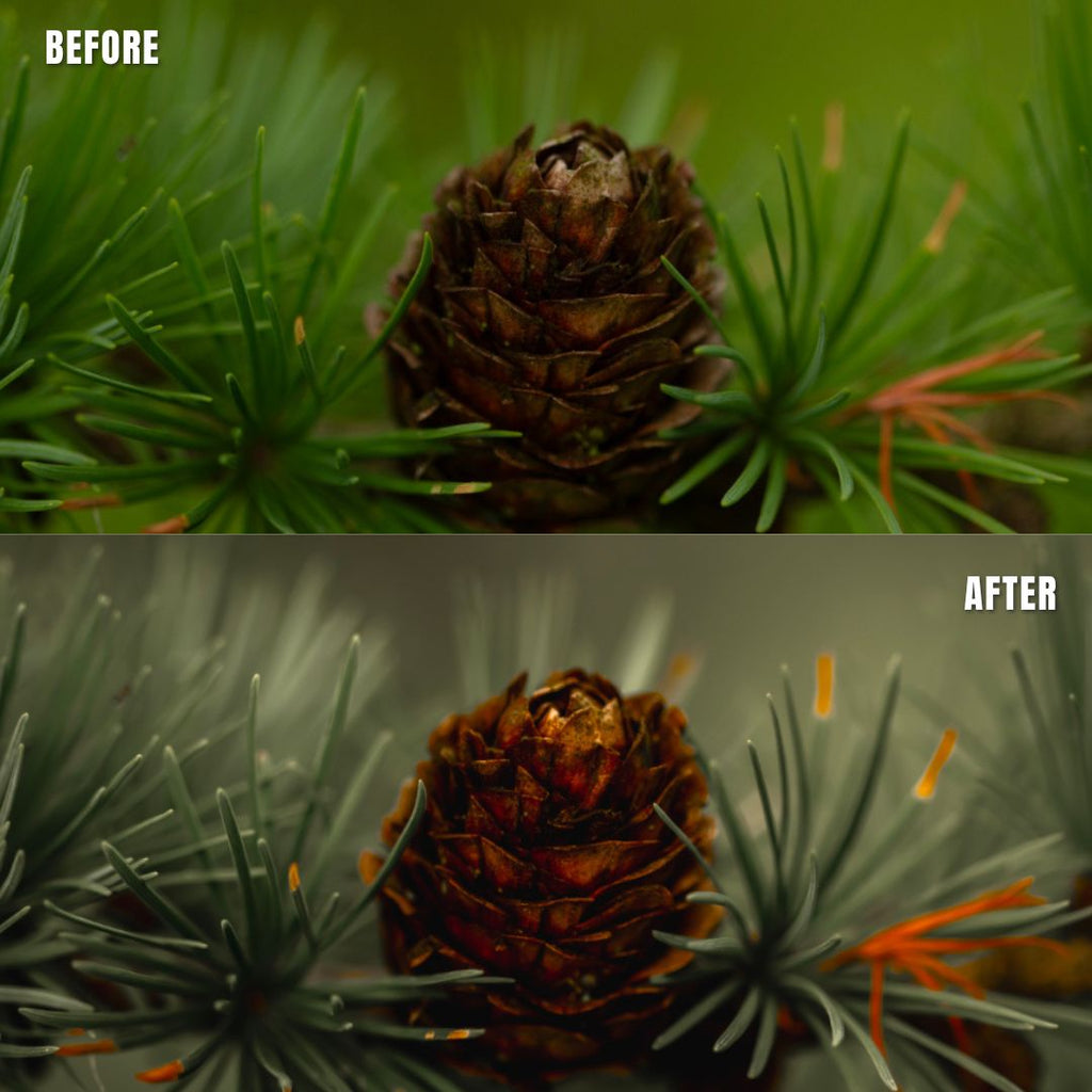 MPP - Muted Greens Preset Pack