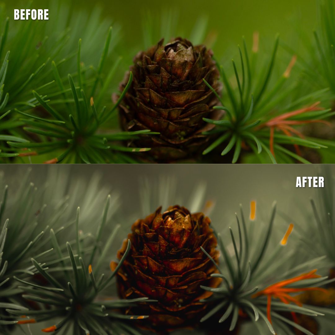 MPP - Muted Greens Preset Pack