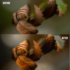 MPP - Natural Greentones with Warmth Preset Pack