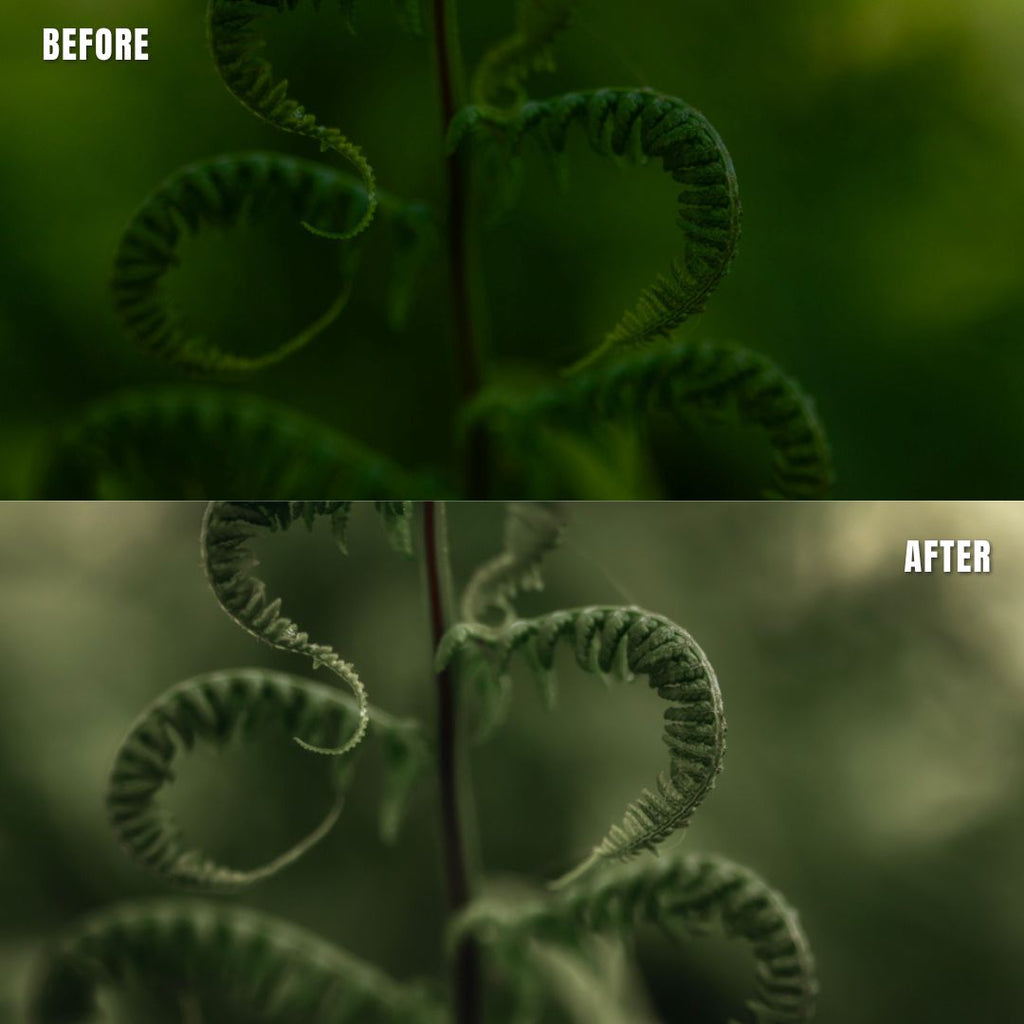 MPP - Muted Greens Preset Pack