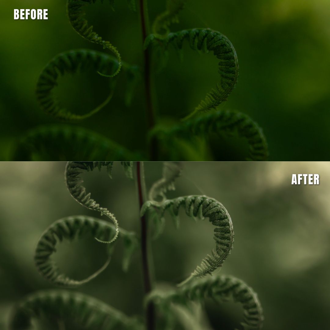 MPP - Muted Greens Preset Pack