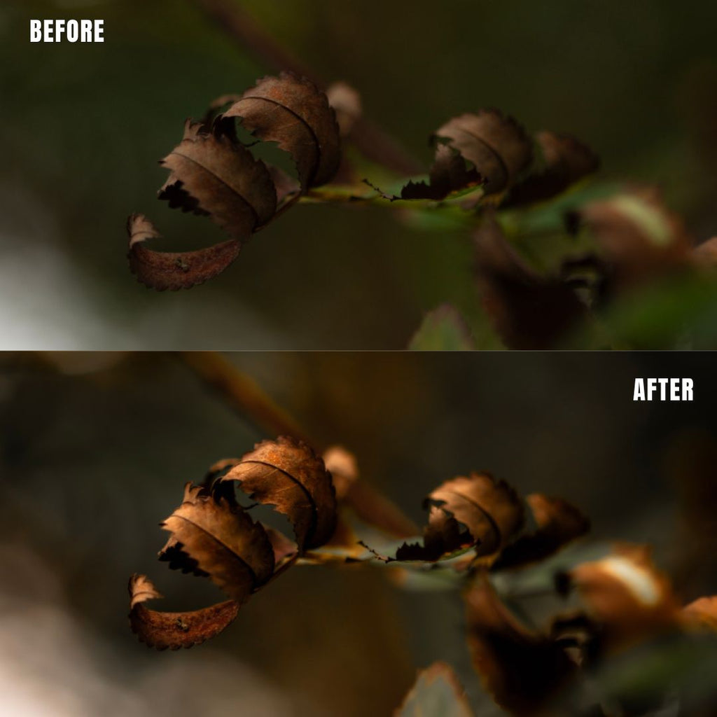 MPP - Natural Greentones with Warmth Preset Pack