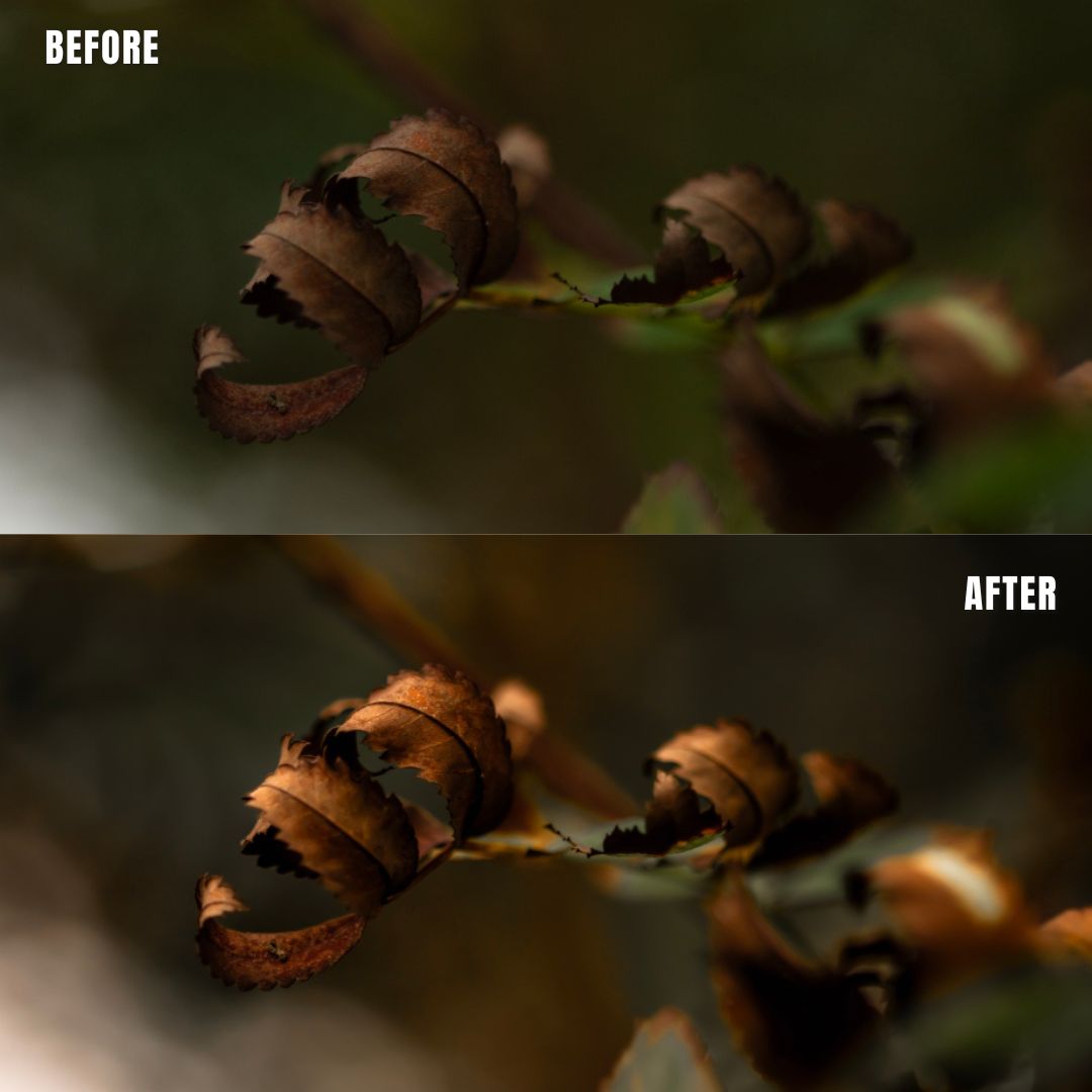 MPP - Natural Greentones with Warmth Preset Pack