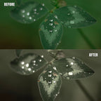 MPP - Muted Greens Preset Pack