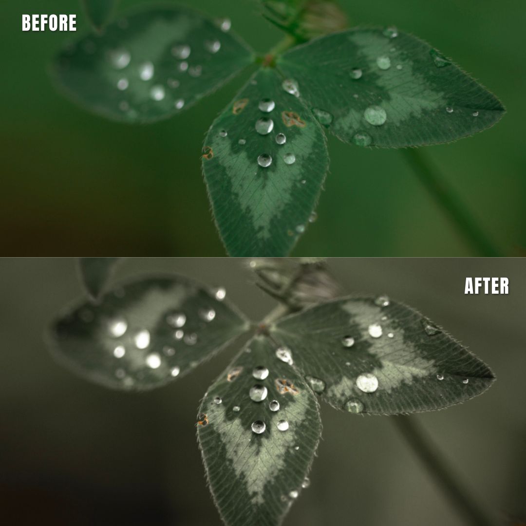 MPP - Muted Greens Preset Pack