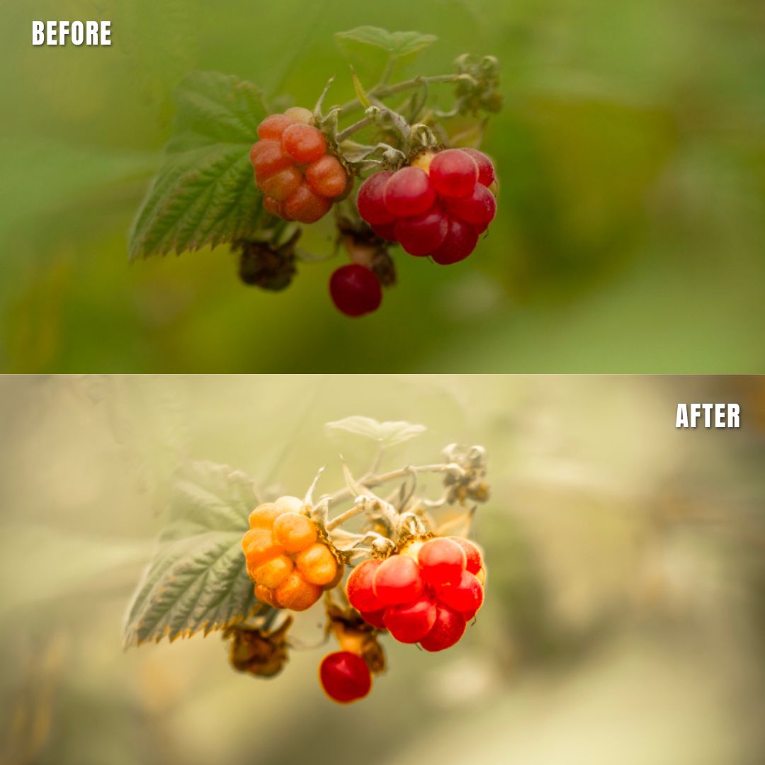 MPP - Natural Greentones with Warmth Preset Pack