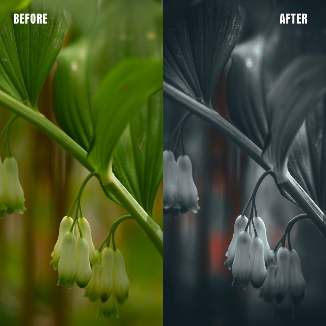 MPP - Deep BW with Reds Preset Pack