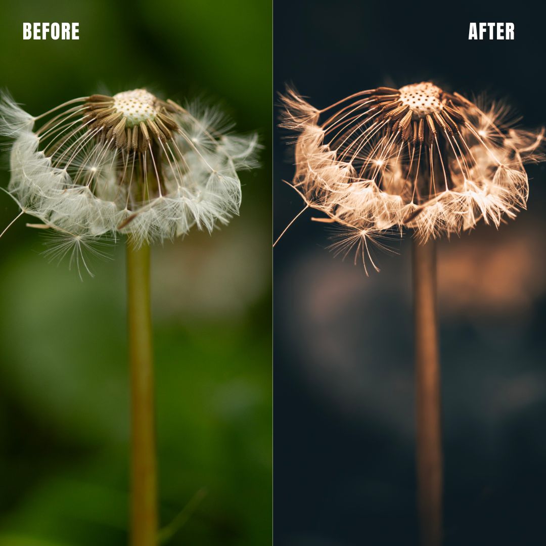 MPP - Golden Brownie Preset Pack