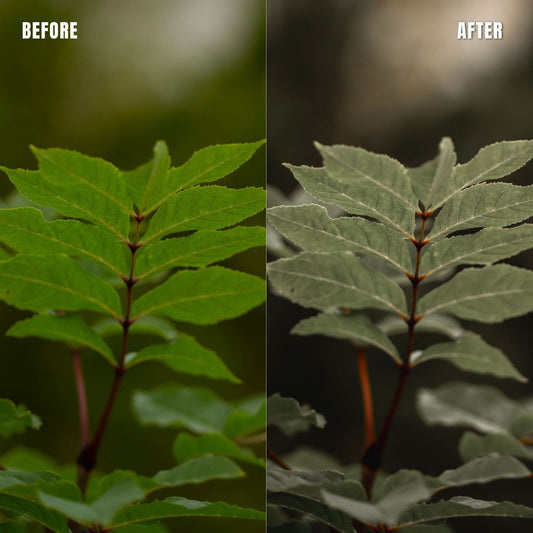 MPP - Muted Greens Preset Pack