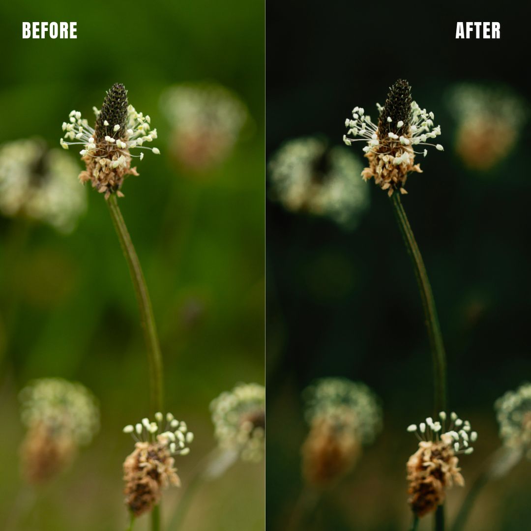 MPP - Rich Greens Preset Pack