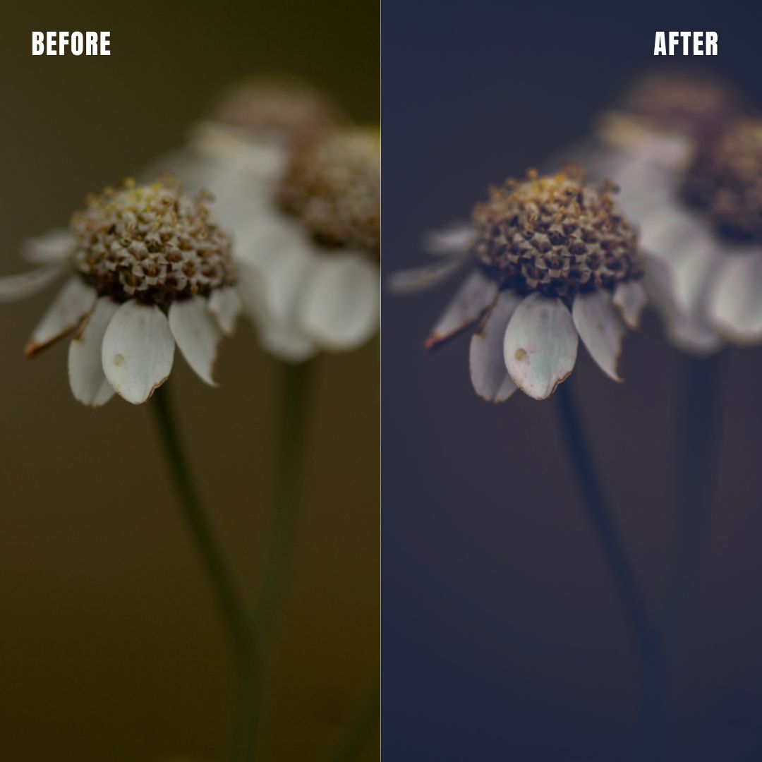 MPP - Moody Preset Pack