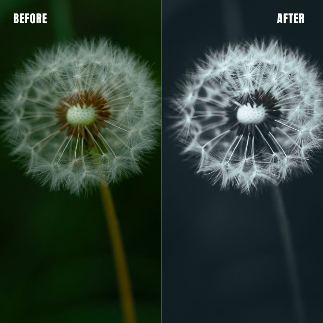 MPP - Moody BW Preset Pack