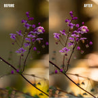 MPP - Basic edit  Preset pack