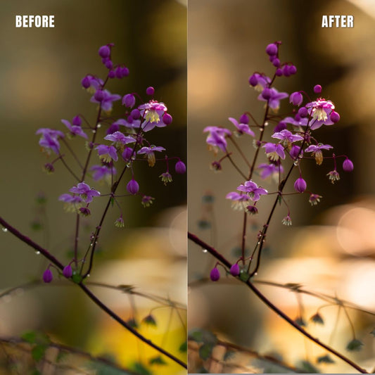 MPP - Basic edit  Preset pack