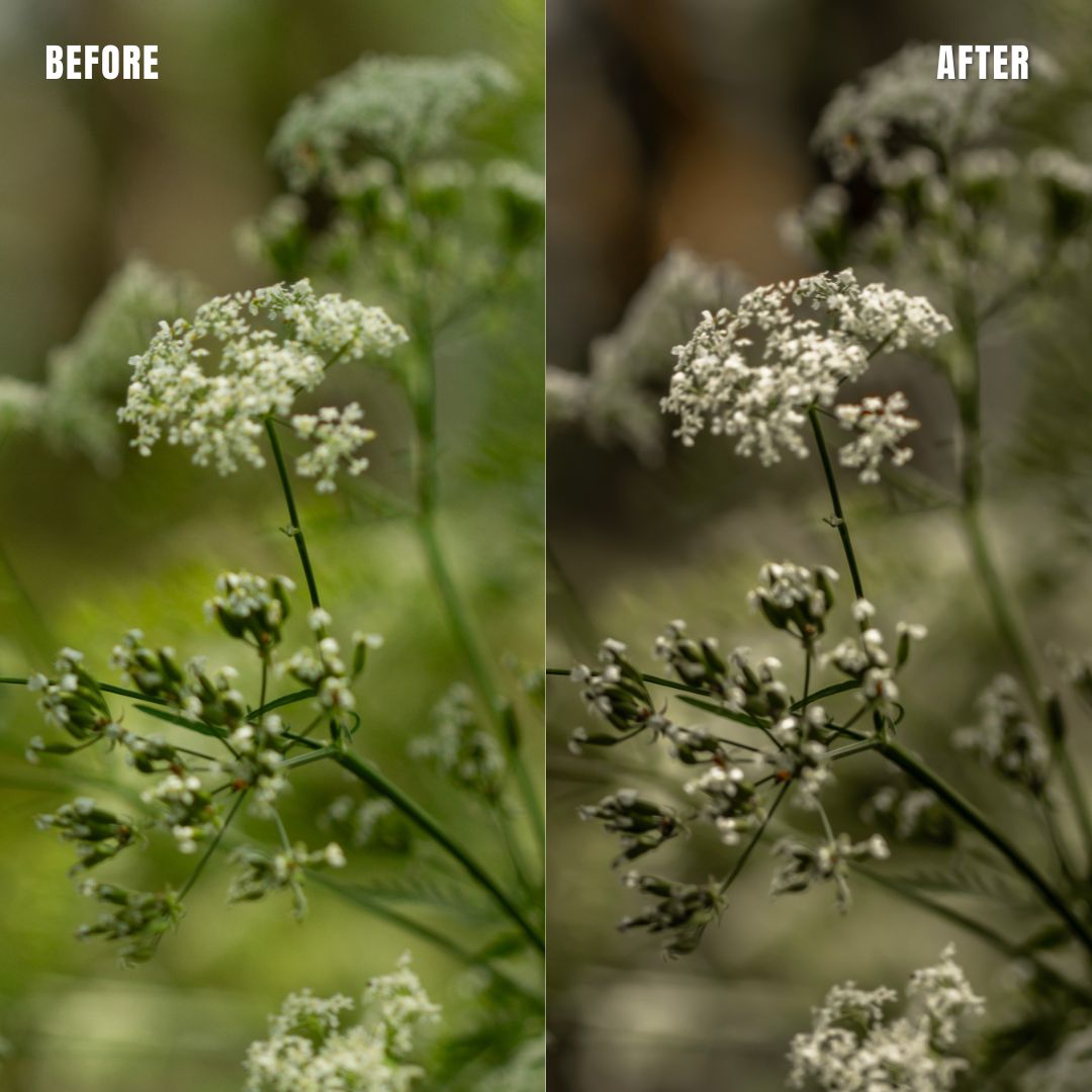 MPP - Natural Greentones with Warmth Preset Pack