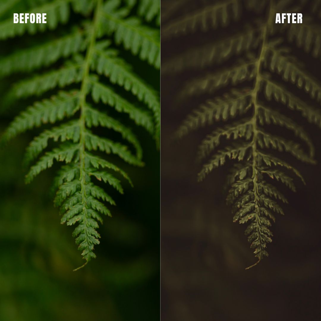 MPP - Earth Bound Preset Pack