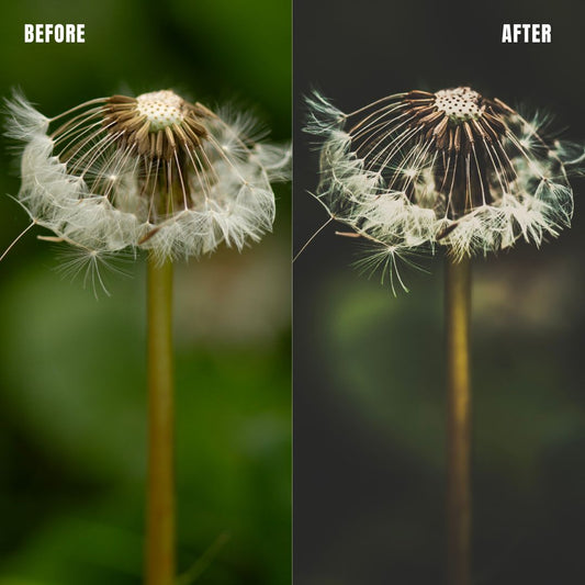 MPP - Dark Retro Greens Preset Pack