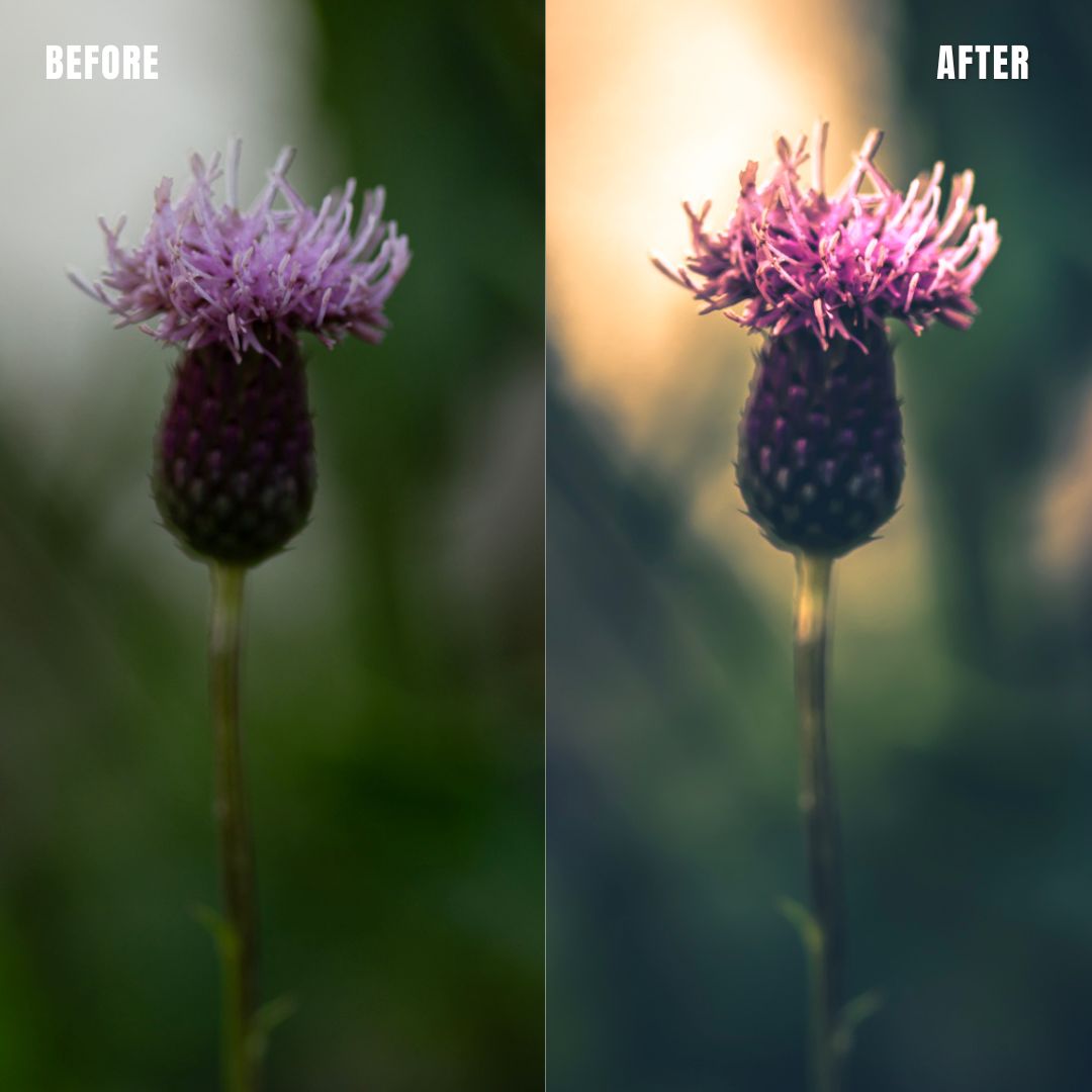 MPP - Pastels Preset Pack