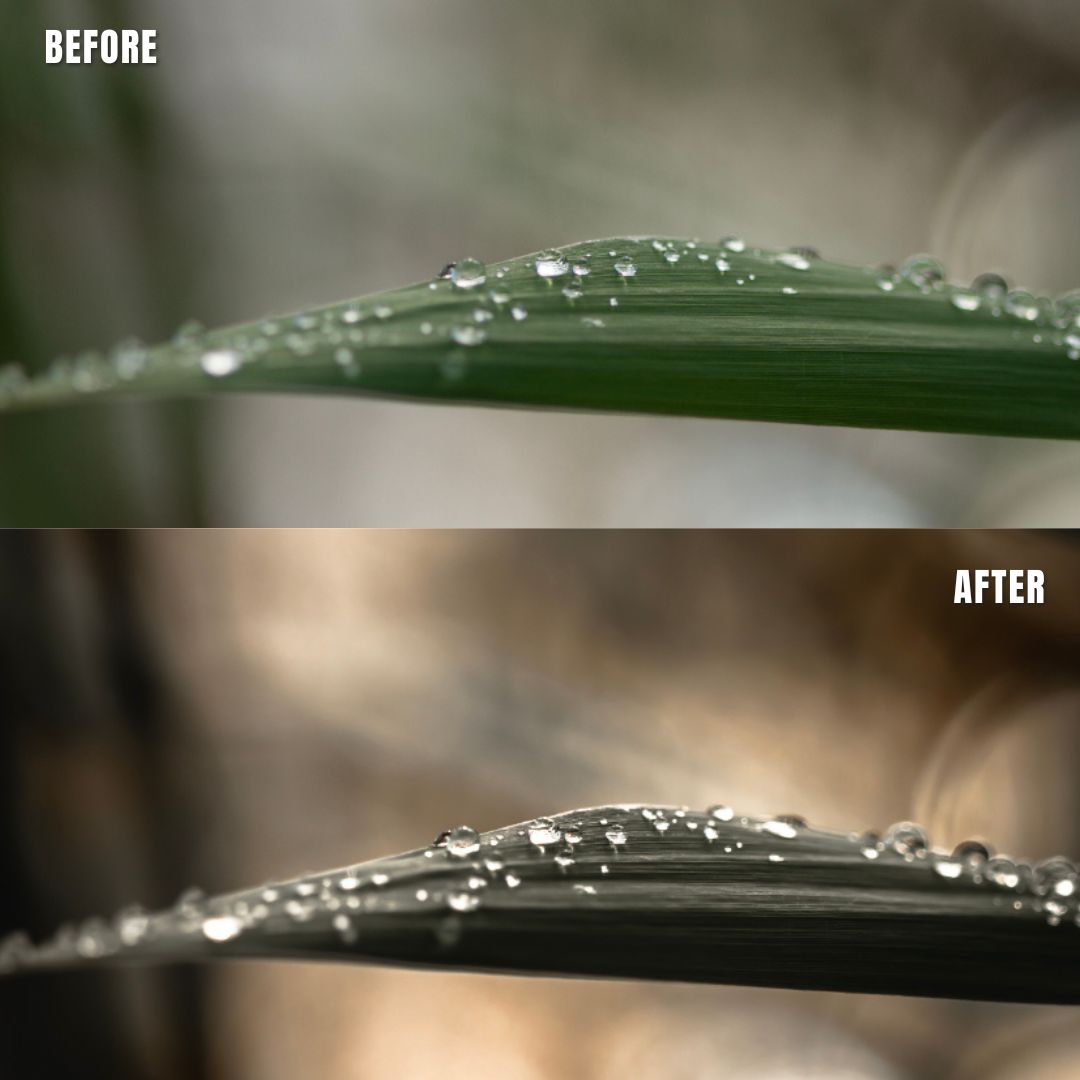 MPP - Muted Greens Preset Pack