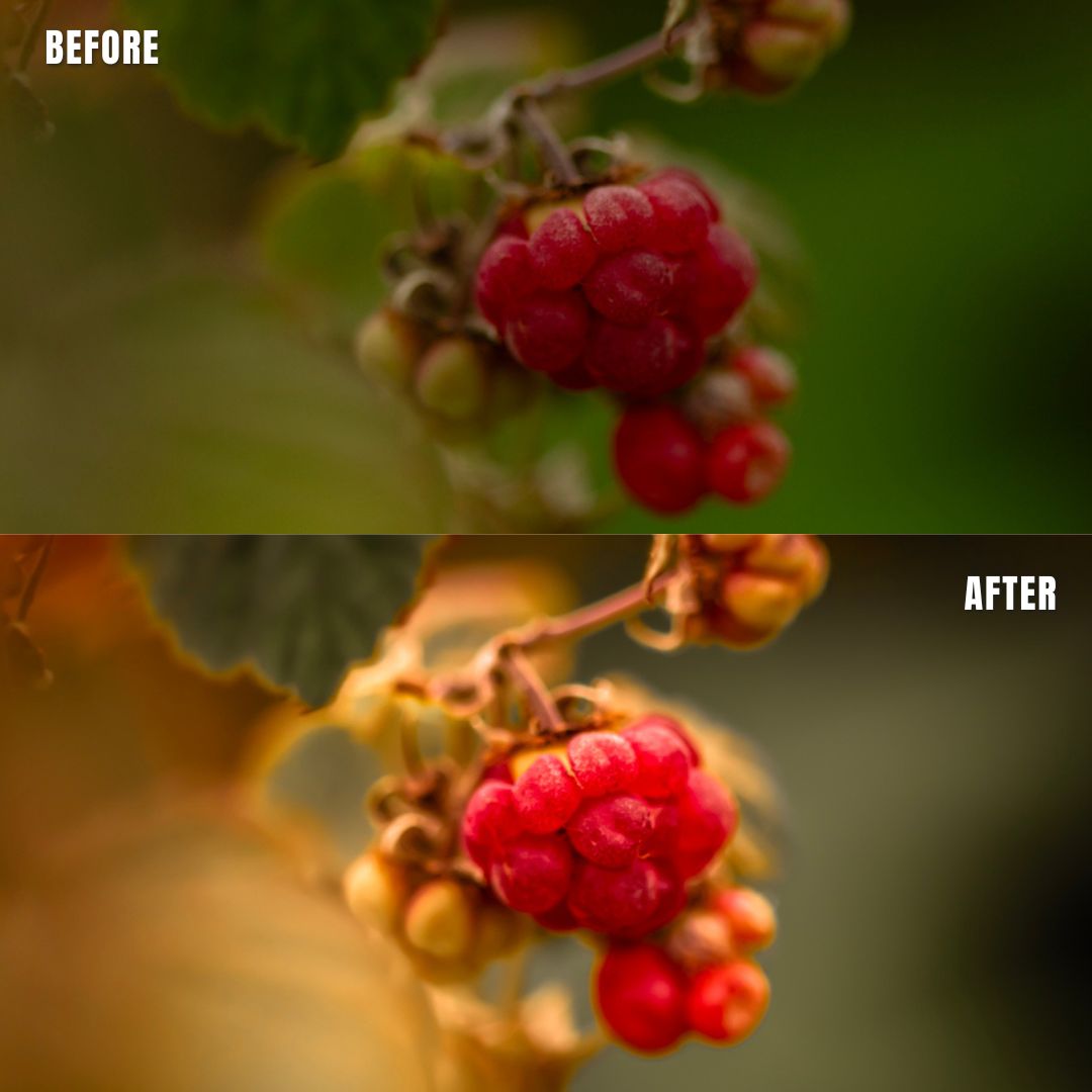 MPP - Natural Greentones with Warmth Preset Pack