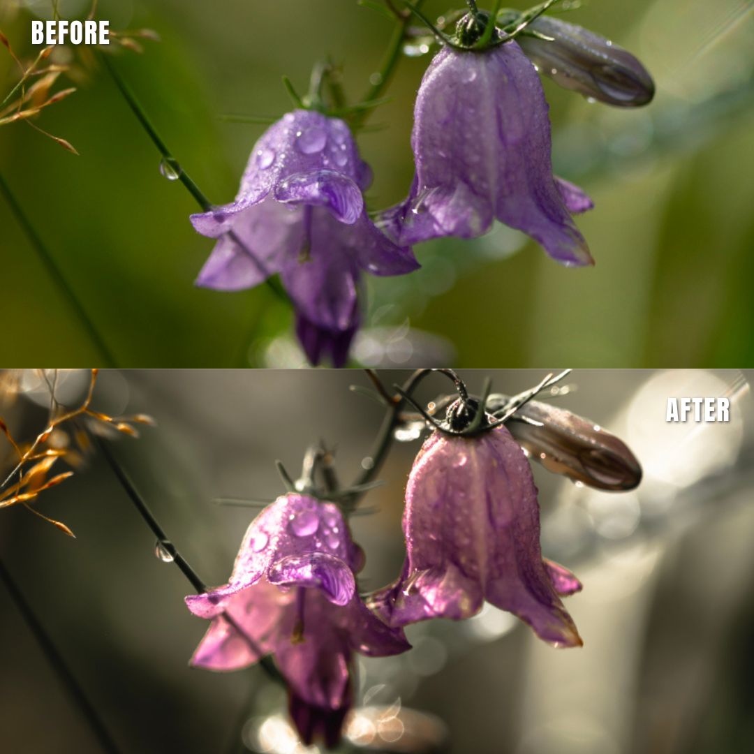 MPP - Muted Greens Preset Pack