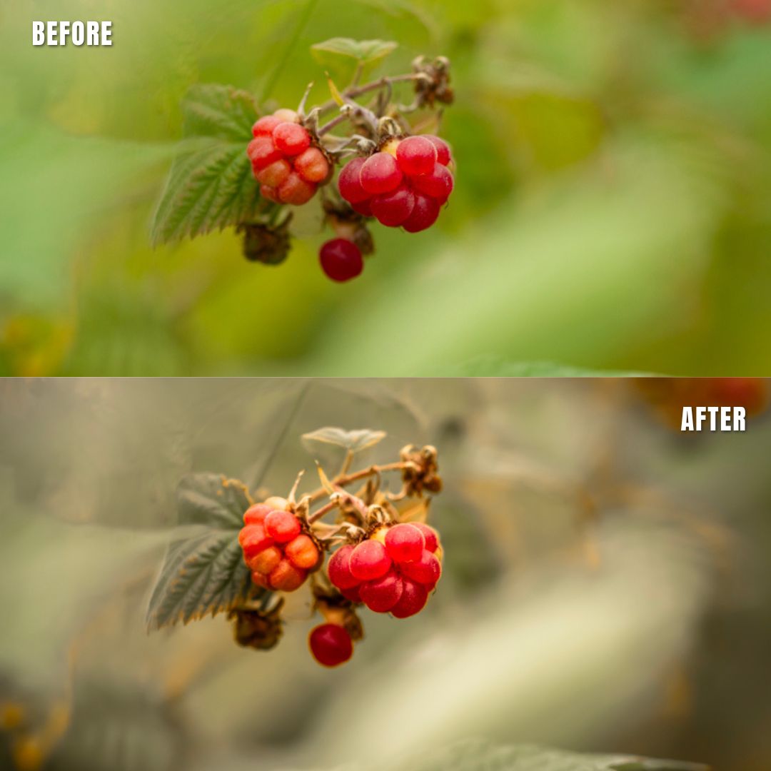 MPP - Natural Greentones with Warmth Preset Pack