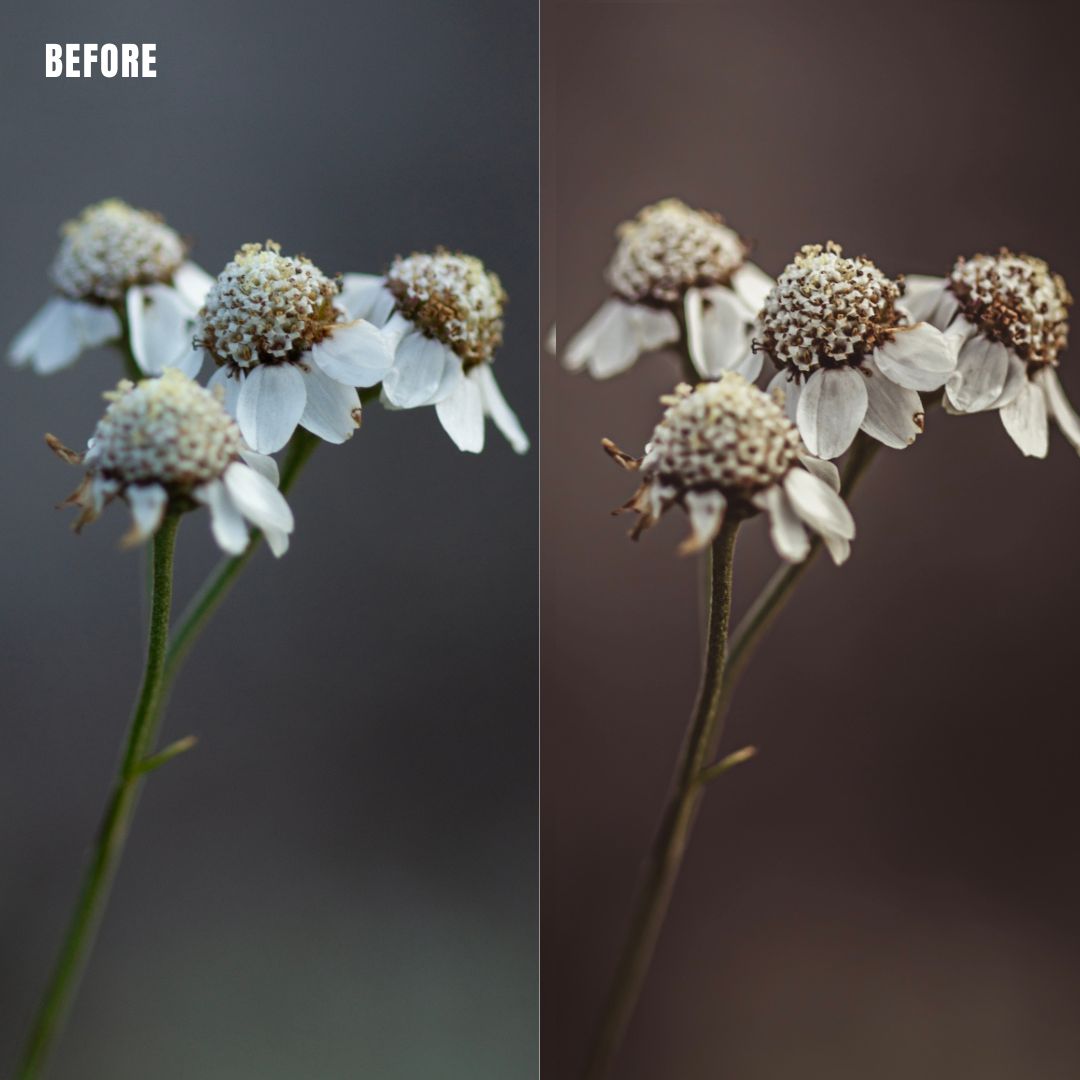 MPP - Earth Bound Preset Pack