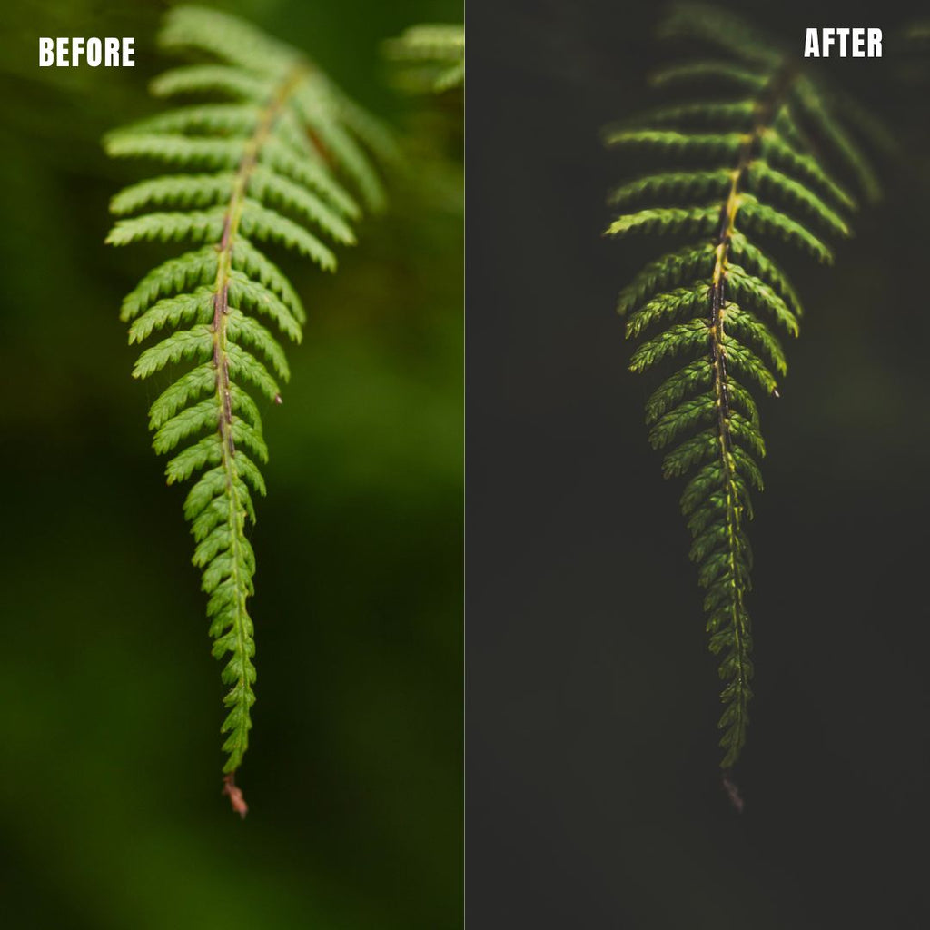 MPP - Dark Retro Greens Preset Pack