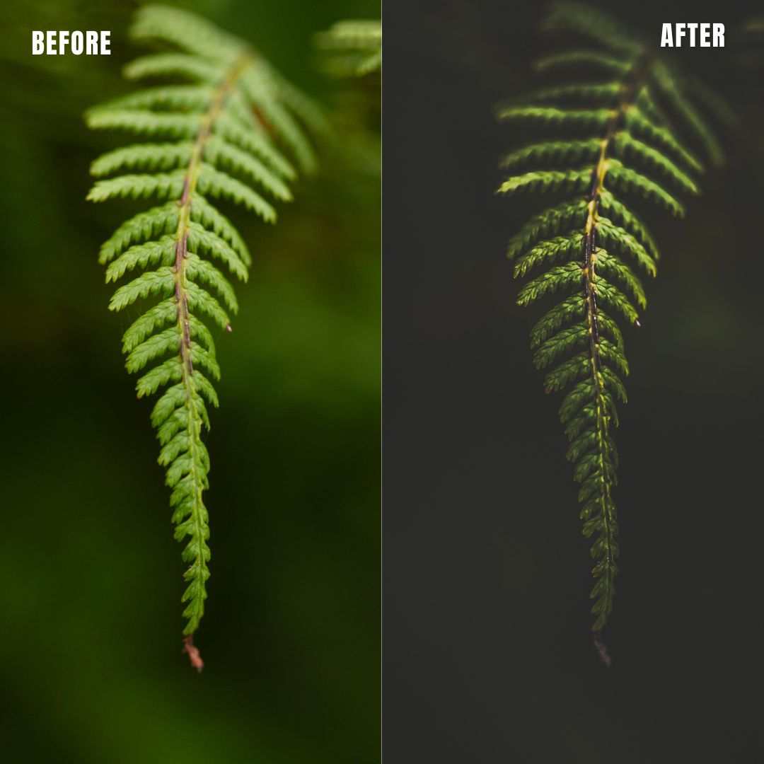 MPP - Dark Retro Greens Preset Pack