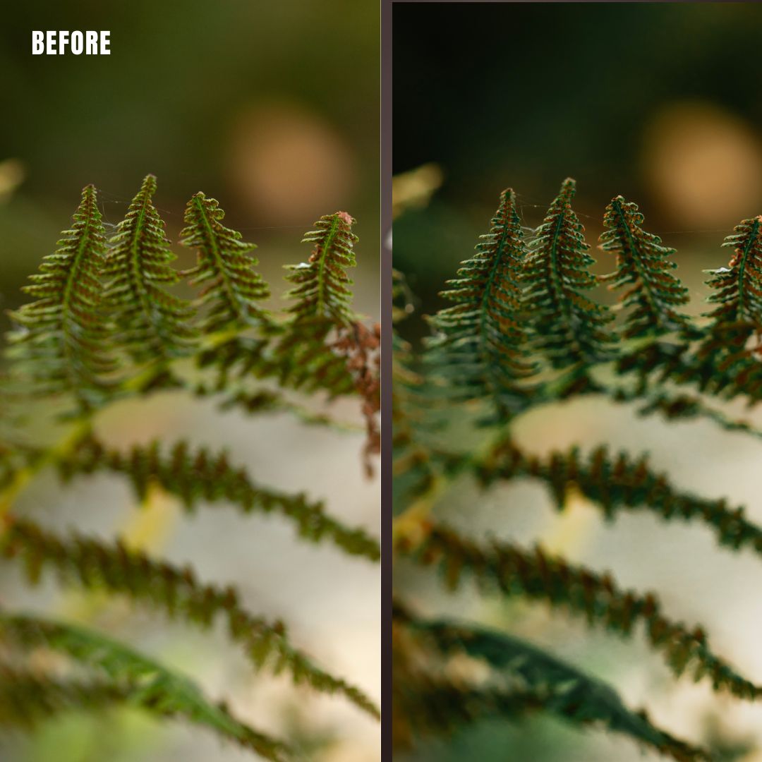 MPP - Rich Greens Preset Pack