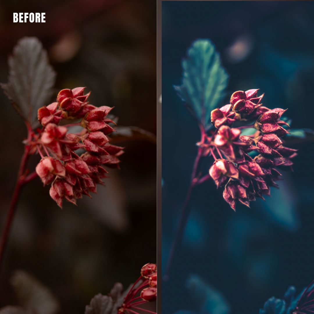 MPP - Water Color Preset Pack