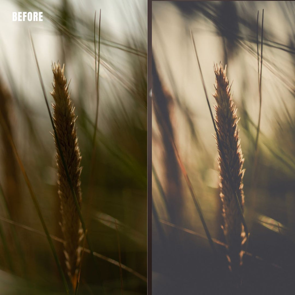 MPP - Polaroid Preset Pack