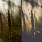 MPP - Polaroid Preset Pack
