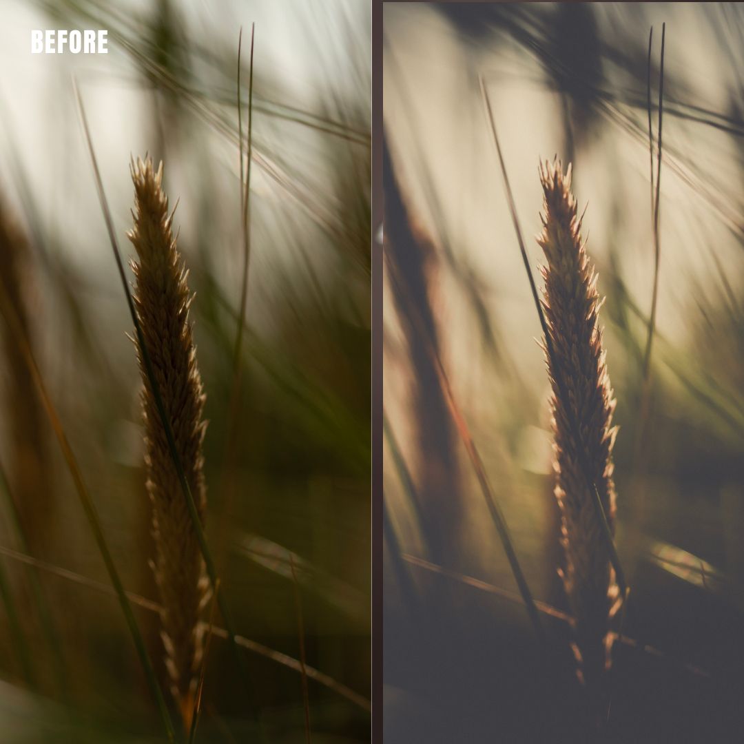 MPP - Polaroid Preset Pack