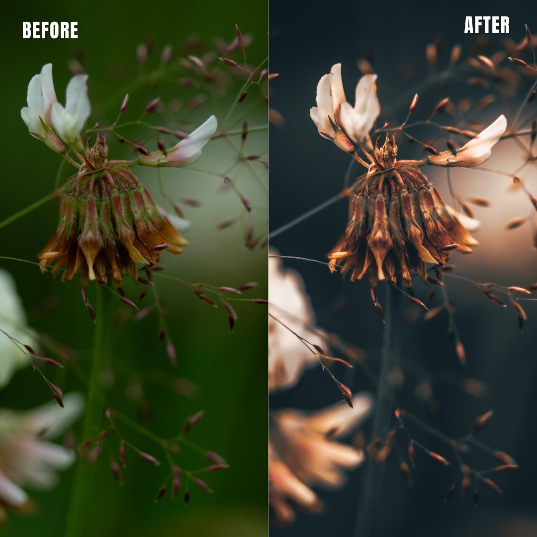 MPP - Brownie Preset Pack