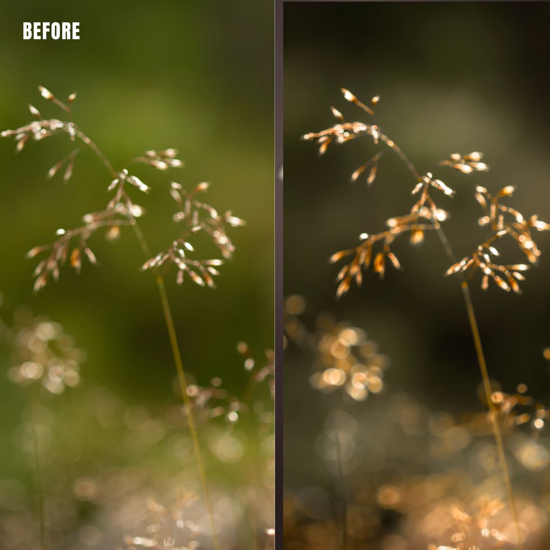 MPP - Natural Greentones with Warmth Preset Pack