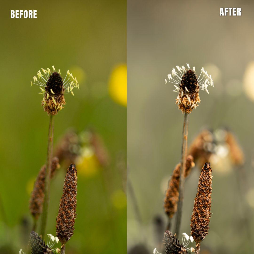 MPP - Basic edit  Preset pack