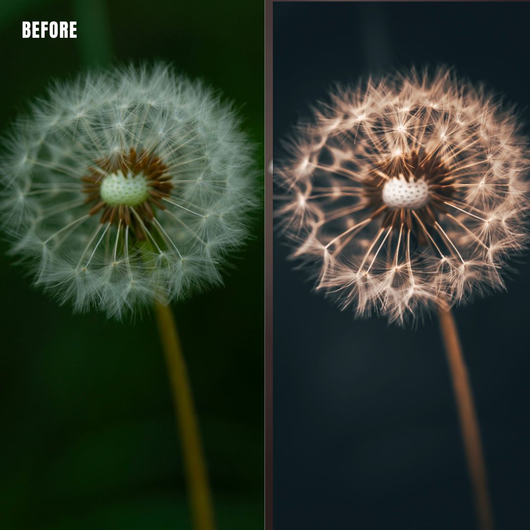 MPP - Golden Brownie Preset Pack