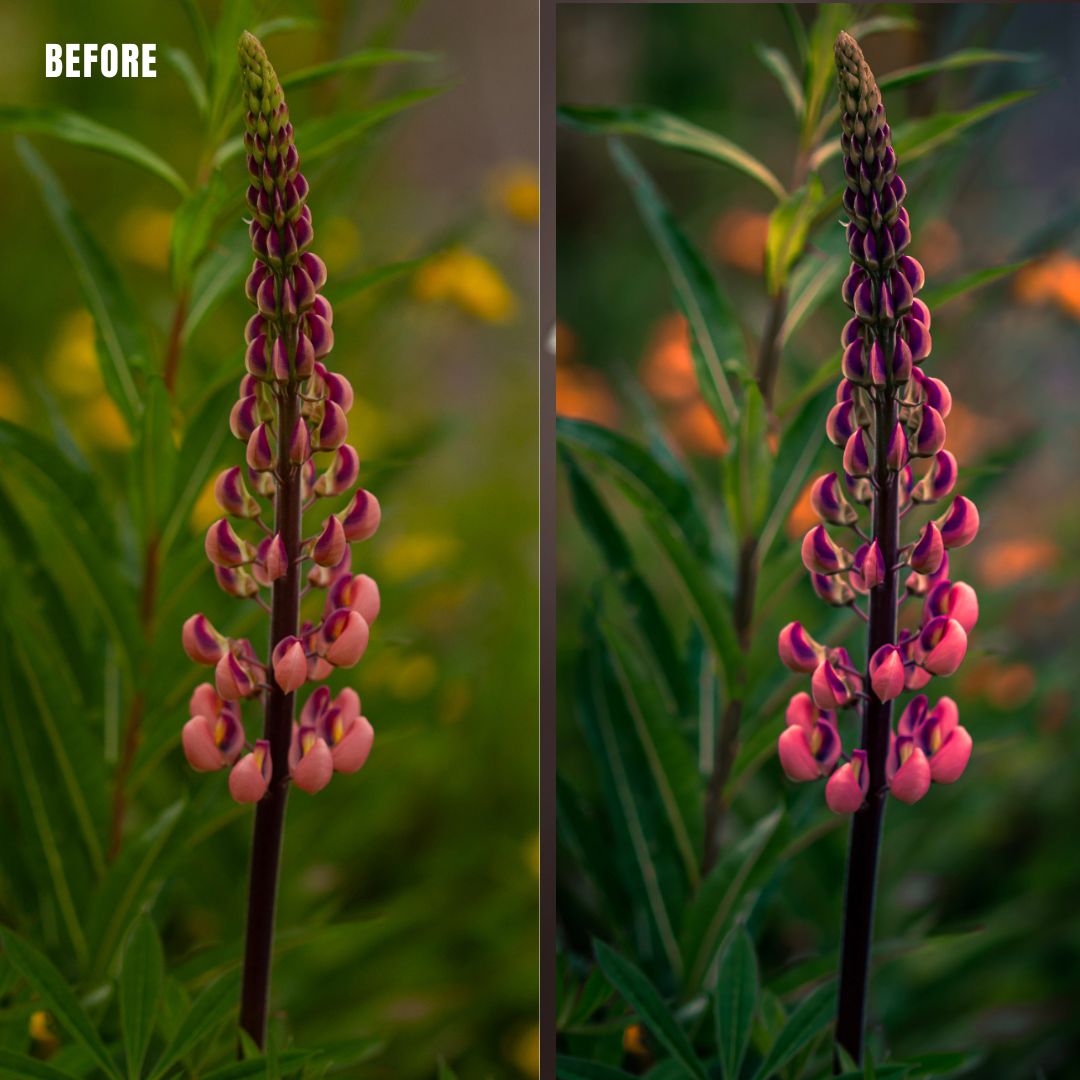 MPP - Pastels Preset Pack