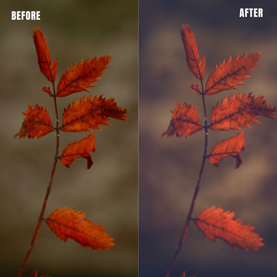 MPP - Moody Preset Pack