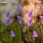 MPP - Natural Greentones with Warmth Preset Pack