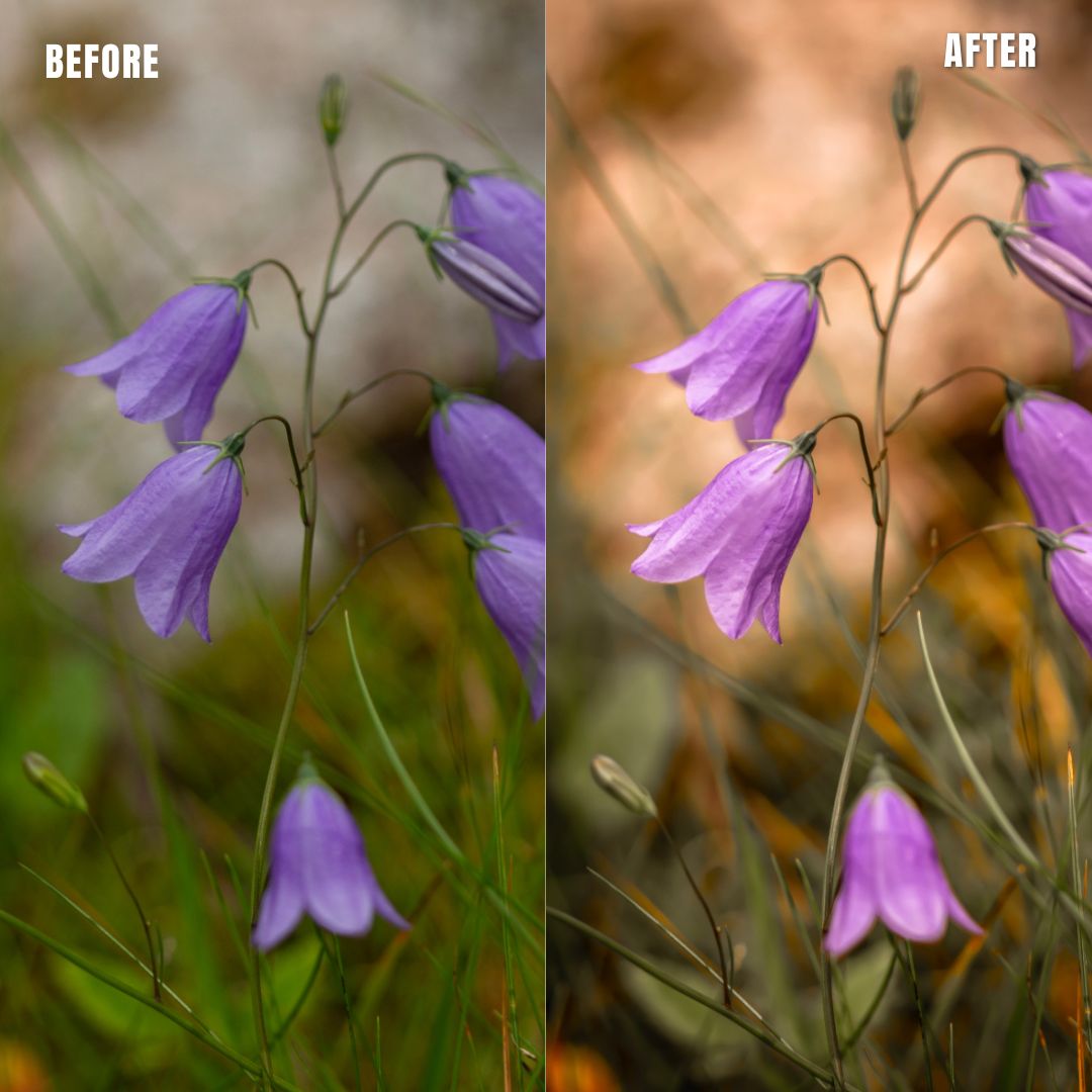 MPP - Natural Greentones with Warmth Preset Pack