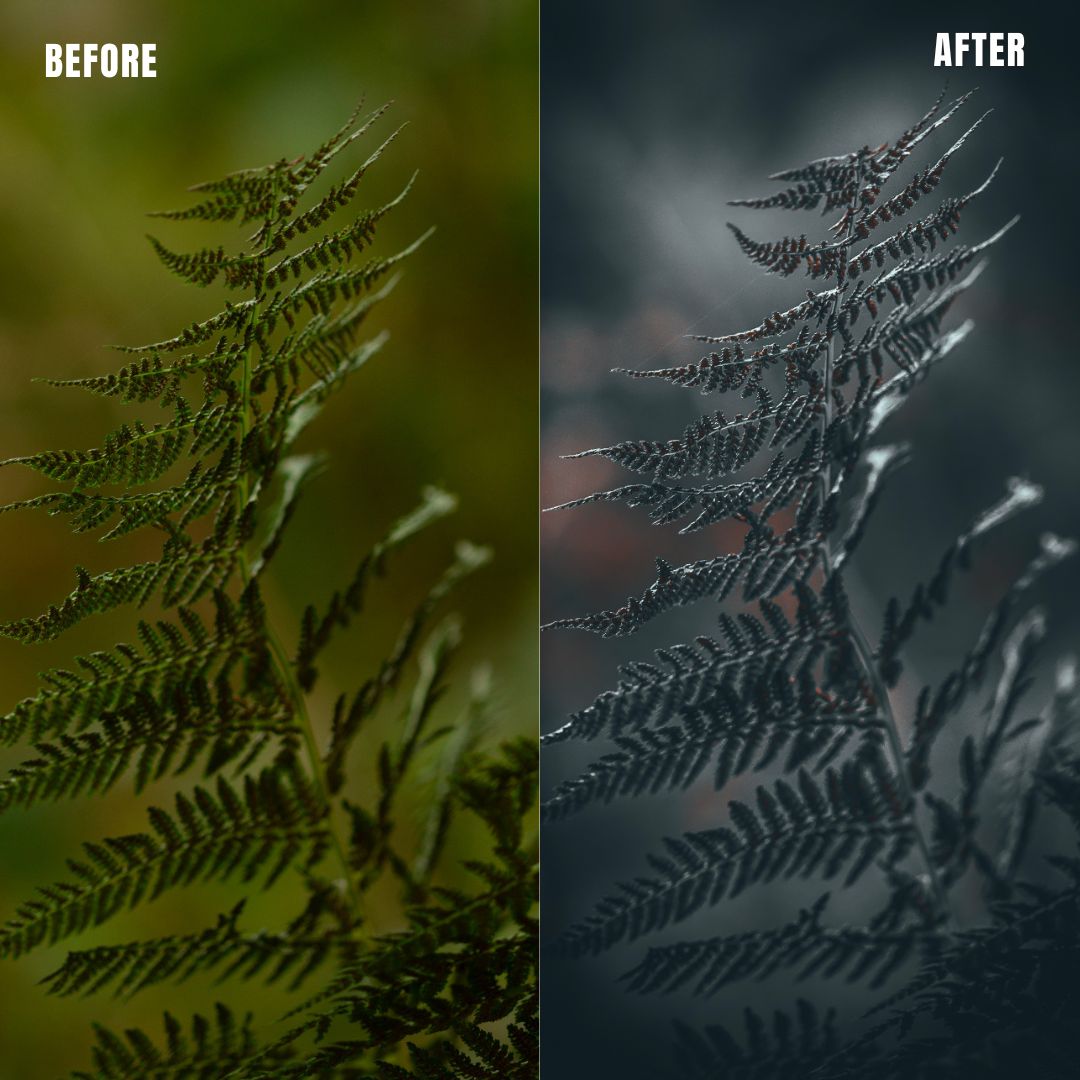 MPP - Deep BW with Reds Preset Pack