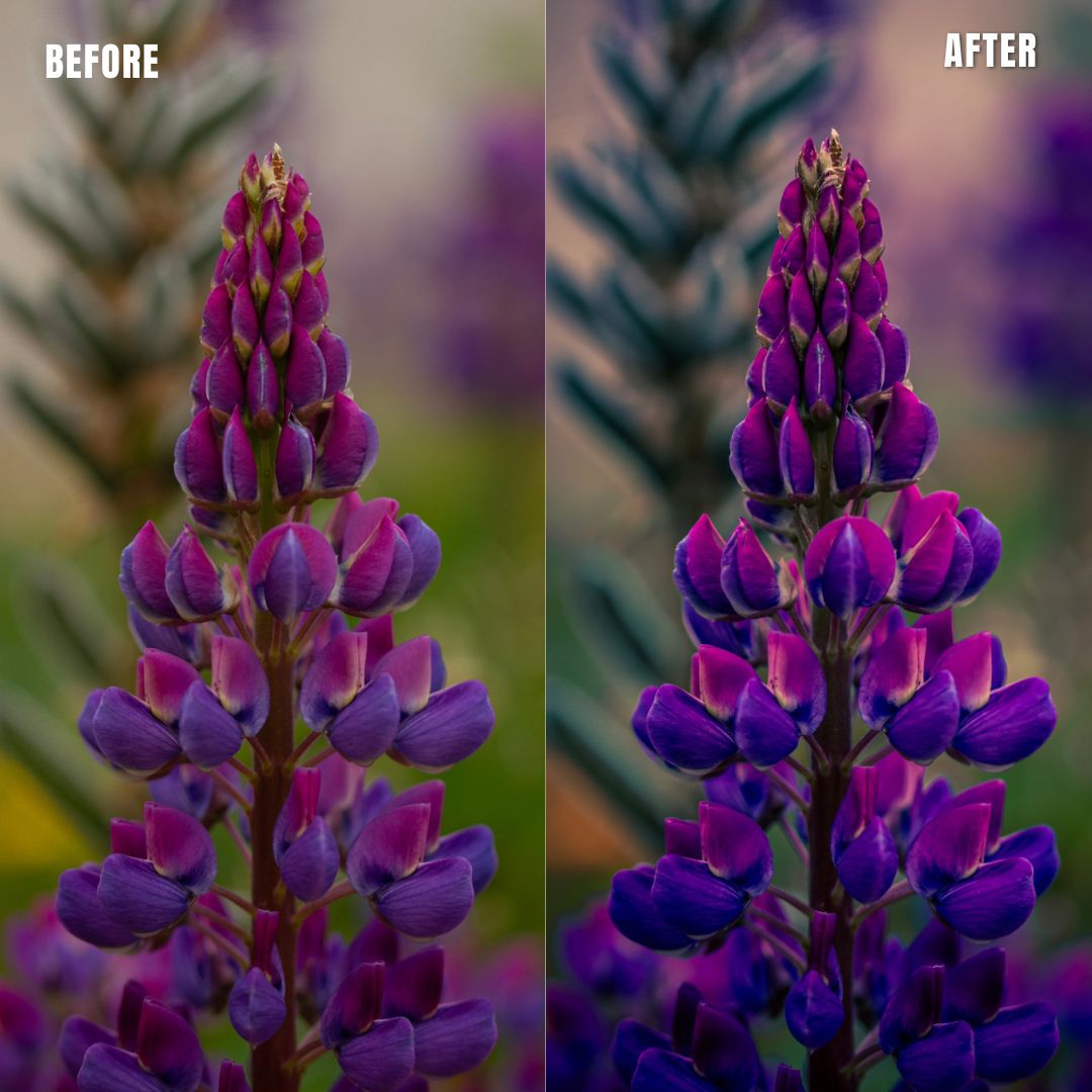 MPP - Pastels Preset Pack