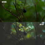 MPP - Dark Retro Greens Preset Pack